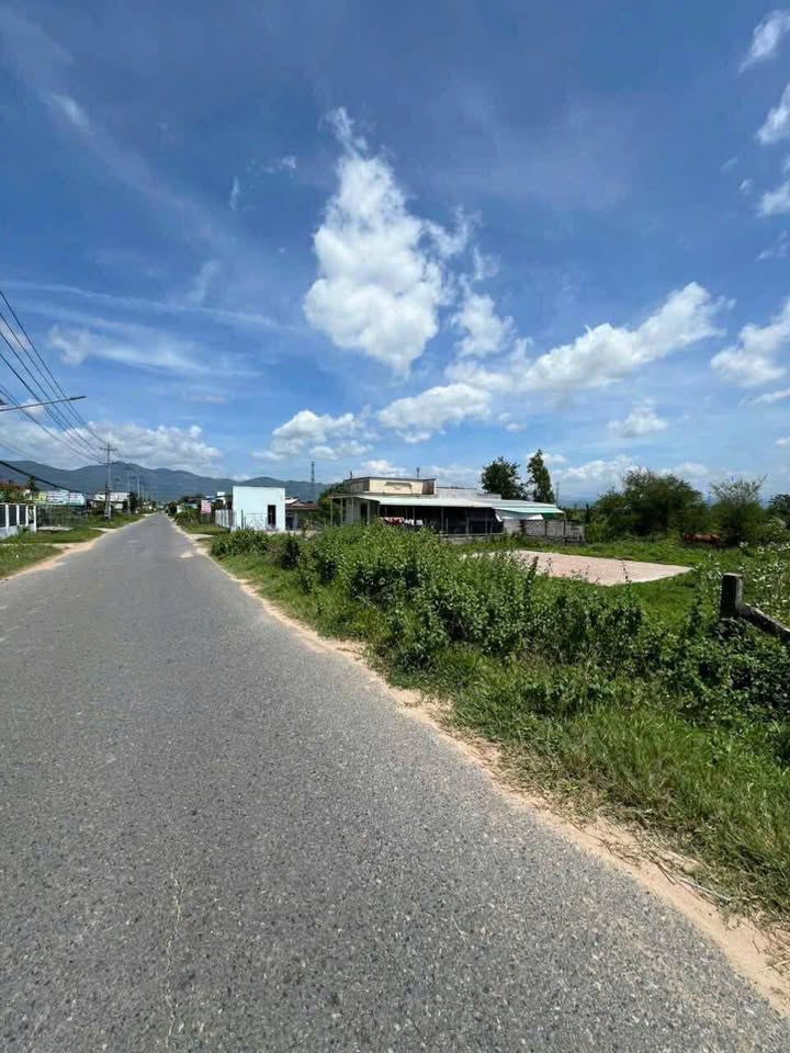 Đất thổ cư 1600m² mặt đường nhựa Thuận Minh, Hàm Thuận Bắc giá 3 tỷ - Thương lượng ngay!