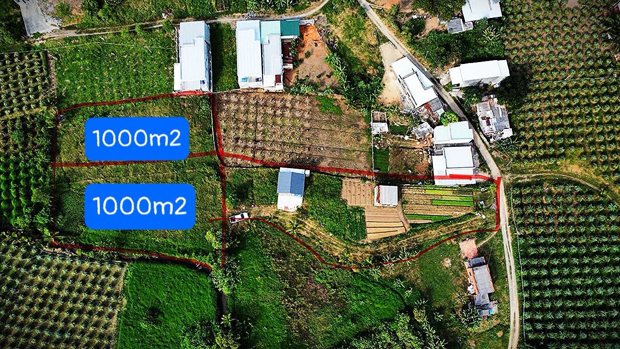 Đất nền xã Hàm Cường, Hàm Thuận Nam 1000m² giá 280 triệu - Cơ hội đầu tư hấp dẫn!