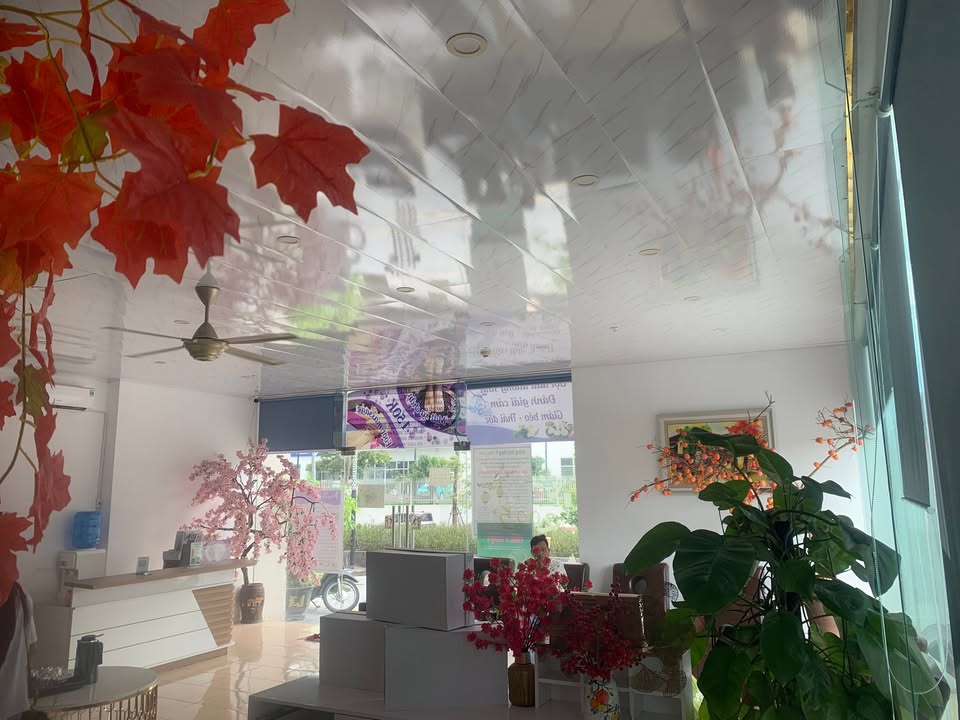 Cho thuê tầng 1 căn góc chung cư Sapphire Hạ Long 80m² chỉ 10 triệu - Vị trí đắc địa, dễ nhận diện!