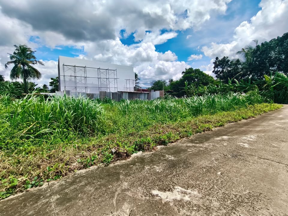 Đất nền liền kề ấp Mỹ Hòa, Mỹ Phong, Tiền Giang - Giá chỉ 600 triệu!