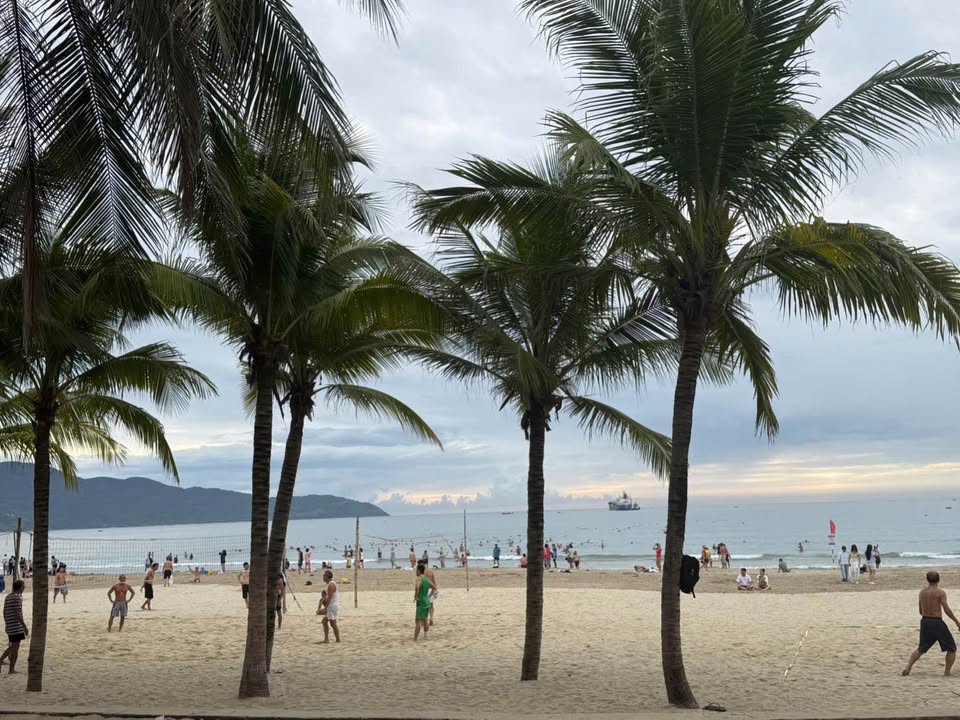 Cho thuê ao tôm 70.000 m² tại Gò Công Tây - Thích hợp nuôi tôm/cá