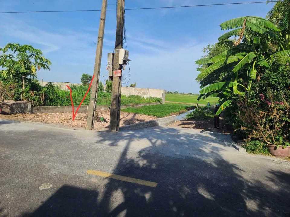 Đất nền góc trục chính xã Bắc Hải, Tiền Hải 164m² giá chỉ 1,5 tỷ - Đầu tư sinh lời ngay!