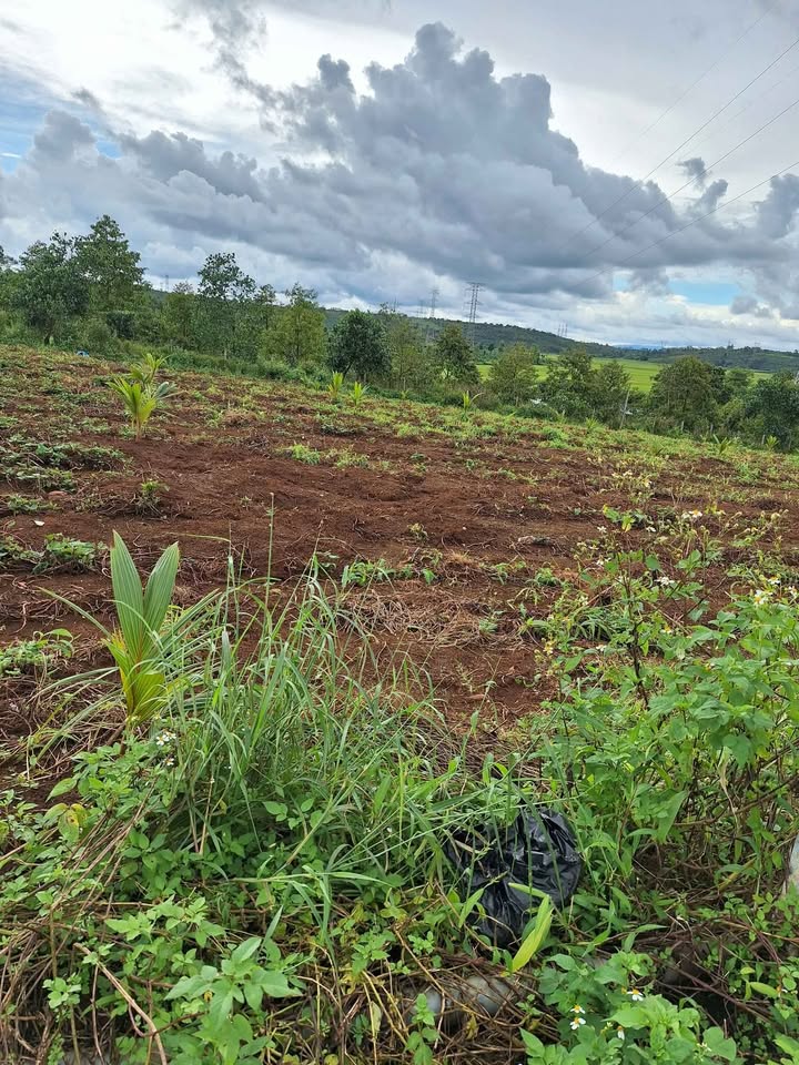 Đất nền phường Hội Phú 1023m² giá chỉ 355 triệu - View cực đẹp gần Võ Nguyên Giáp!