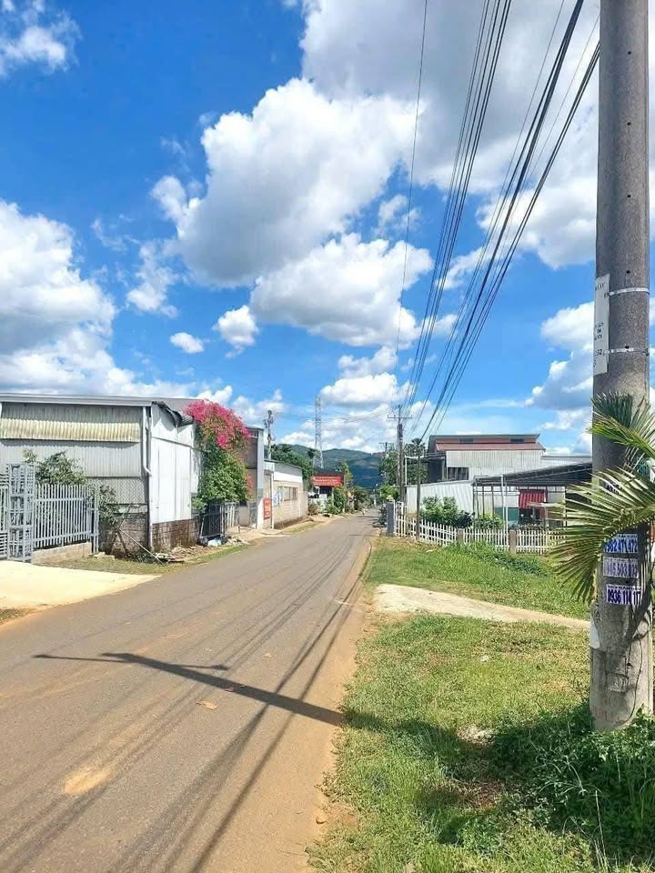 Đất nền hẻm 857 Lộc Châu, Bảo Lộc 631m² giá chỉ 2.15 tỷ - Đầu tư tiềm năng!