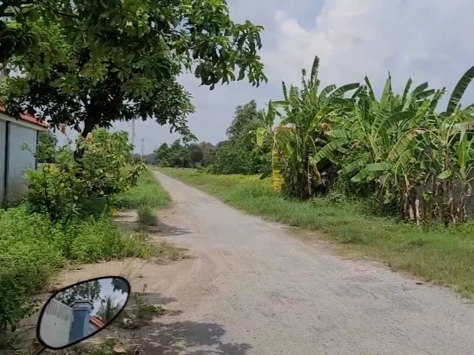 Đất vườn Tân Thạnh Đông 500m² giá 1.85 tỷ - Đầu tư sinh lời ngay hôm nay!