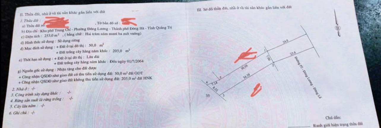 Đất Mặt Tiền Đường Trần Thanh Tông, Đông Lương, 241m² giá 1.5 tỷ - Bán gấp, cơ hội đầu tư tốt!