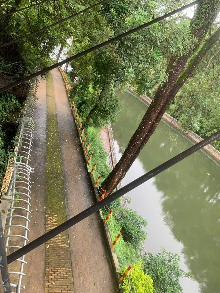 Đất mặt tiền Đống Đa, Pleiku 336m² giá chỉ 10 tỷ - View hồ đẹp mê ly!