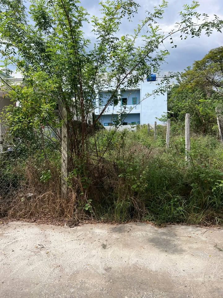 Đất thổ cư 161m² gần KCN Tân Đức - Giá chỉ 1.75 tỷ, đầu tư sinh lời!