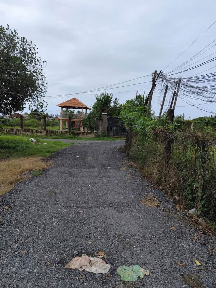 Đất nền Mỹ Hạnh Đức Hòa 350m² giá 2.64 tỷ - Đầu tư sinh lời hấp dẫn!