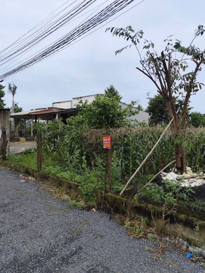 Đất nền đẹp tại xã Mỹ Hạnh, Đức Hòa - 800m² giá 5.1 tỷ - Đầu tư sinh lời ngay!