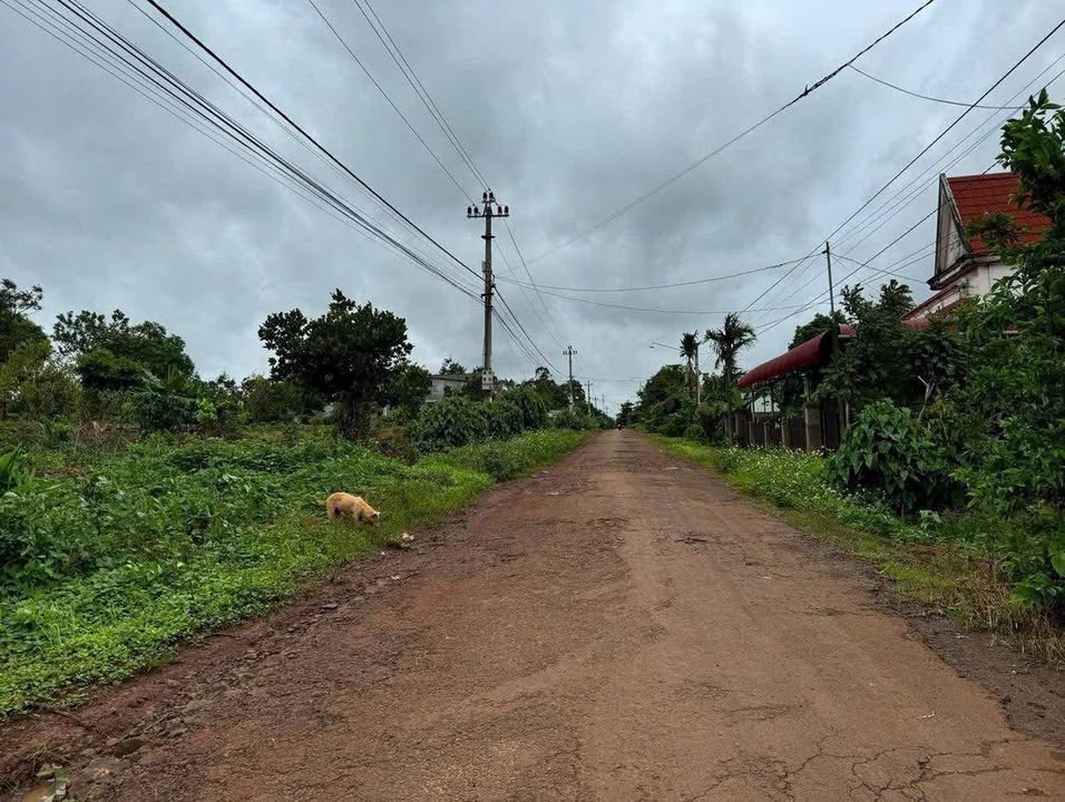 Đất thổ cư 168m² mặt tiền đường HH H’Hen, Buôn Ma Thuột - Giá chỉ 555 triệu!