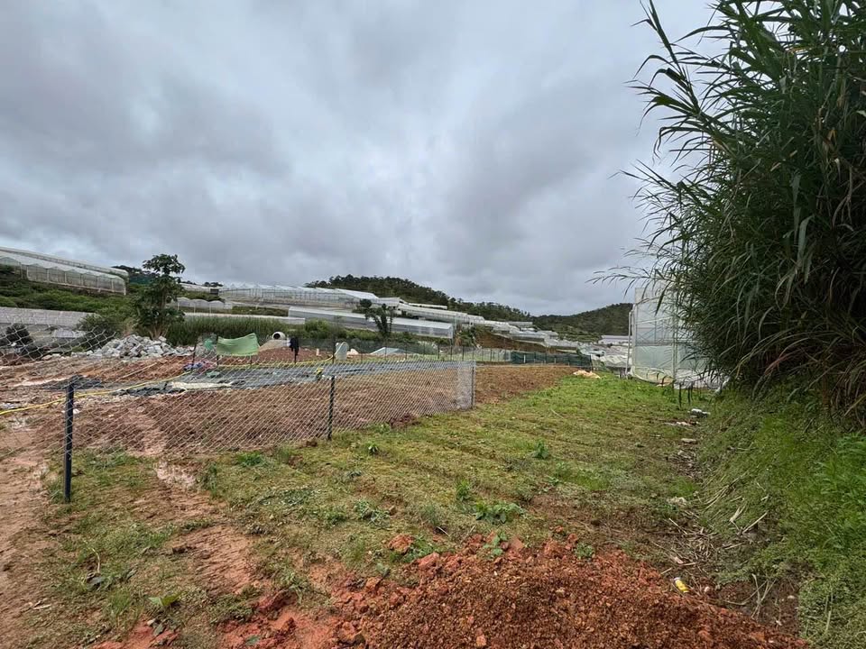 Đất nền 60m² giá 605 triệu - Vị trí đắc địa tại Đà Lạt!