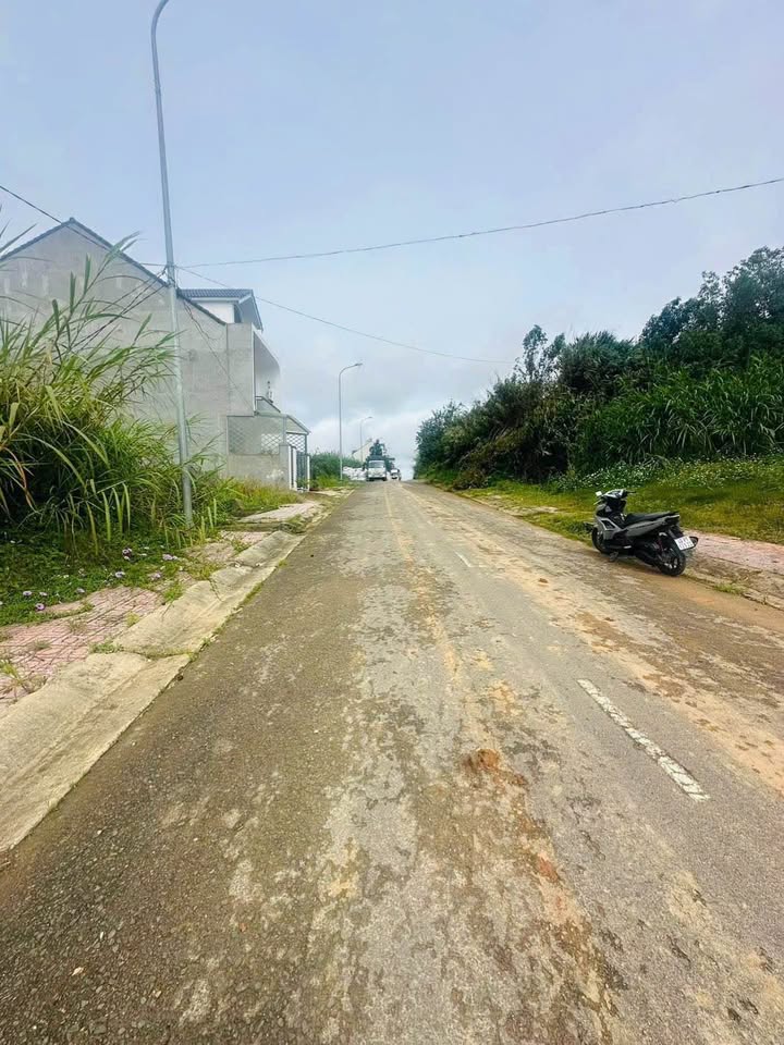 Đất KQH Nguyễn Hoàng Đà Lạt 100m² giá 4.3 tỷ - Đầu tư sinh lời tốt!