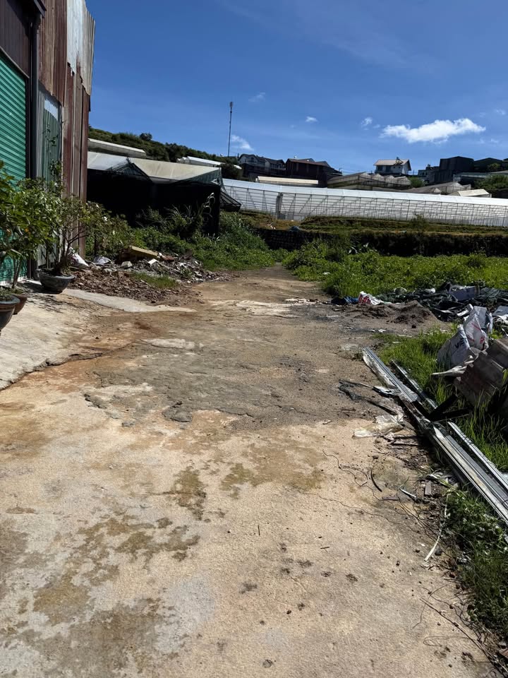 Đất nền Đà Lạt 98m² giá 850 triệu - Cơ hội đầu tư hấp dẫn!