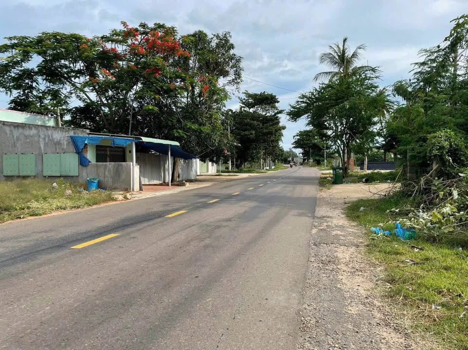 Bán đất mặt tiền ĐT 719, Tân Thành, Hàm Thuận Nam 265m² - Vị trí đẹp cho kinh doanh!