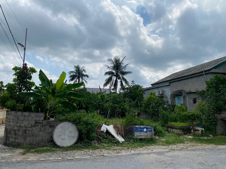 Đất nền Tứ Kỳ Hải Dương 130m² - Vị trí đắc địa, giá thương lượng!