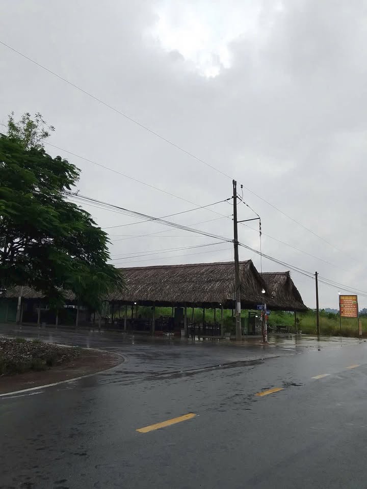 Đất mặt tiền đường 47 xã Cây Trường II, Bàu Bàng 3450m² giá 7 tỷ - Đầu tư sinh lời ngay!