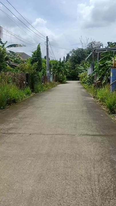 Đất nền ấp 6 Hưng Hòa 1820m² giá 1.54 tỷ - Gần trường học Quang Trung!