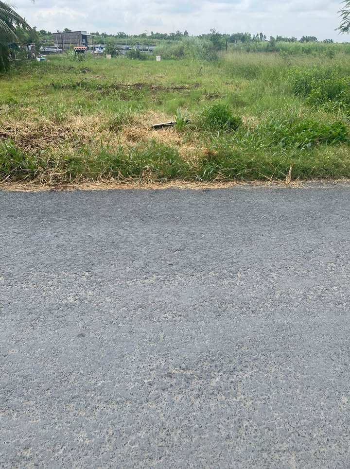 Đất nền khóm 5 Đầm Dơi 300m² giá 1.2 tỷ - Vị trí đắc địa, đầu tư sinh lời!