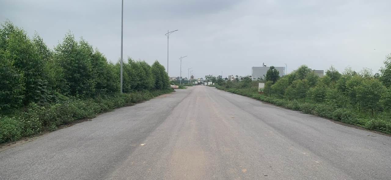 Đất đấu giá Tân Luận Lạng Giang 90m² giá 1.3 tỷ - Tiềm năng kinh doanh lớn!