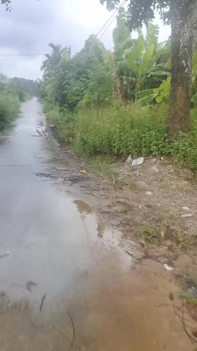 Đất nền thôn Cầu Đồng, Lạng Giang, 128m² - Mặt tiền 10m, view sông thoáng mát!