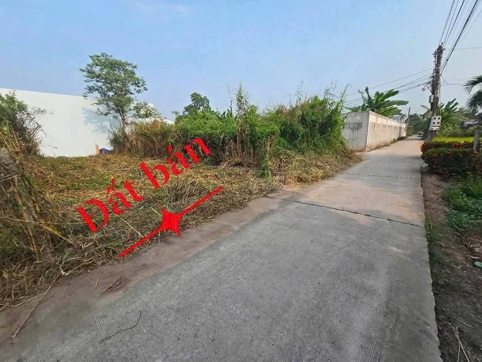 Đất thổ cư 100m² tại Ấp 4, xã Nhựt Chánh, Bến Lức chỉ 690 triệu - Sổ đỏ chính chủ!