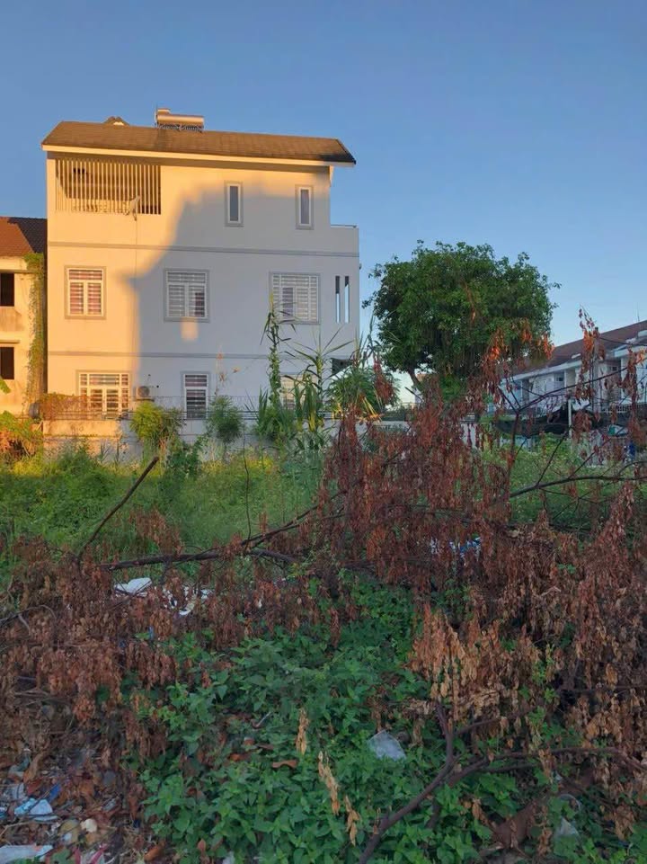 Đất nền mặt tiền đường Lê Tấn Quốc, Cái Răng 155.2m² giá 6.5 tỷ - Sổ đỏ chính chủ!