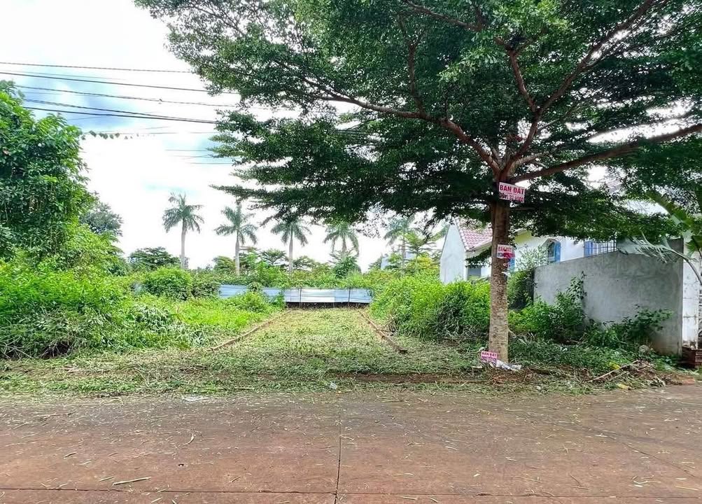 Đất nền Ninh Hòa 120m² giá 1.29 tỷ - Mặt tiền trục chính HimLam