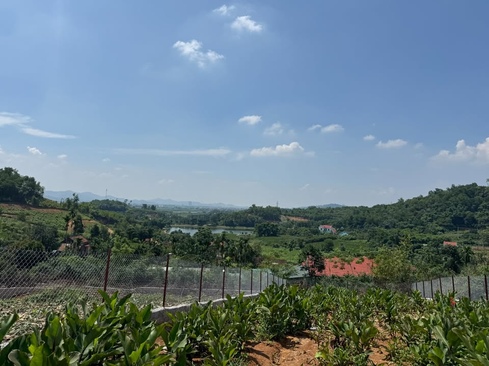 Đất nghỉ dưỡng Ba Vì 518m² giá 1.x tỷ - View hồ tuyệt đẹp!