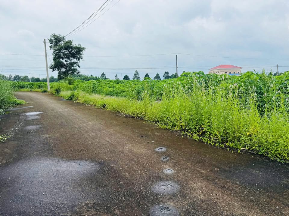 Đất thổ cư 360m² tại Tân Thành, Phú Mỹ chỉ 880 triệu - Cơ hội vàng cho đầu tư!