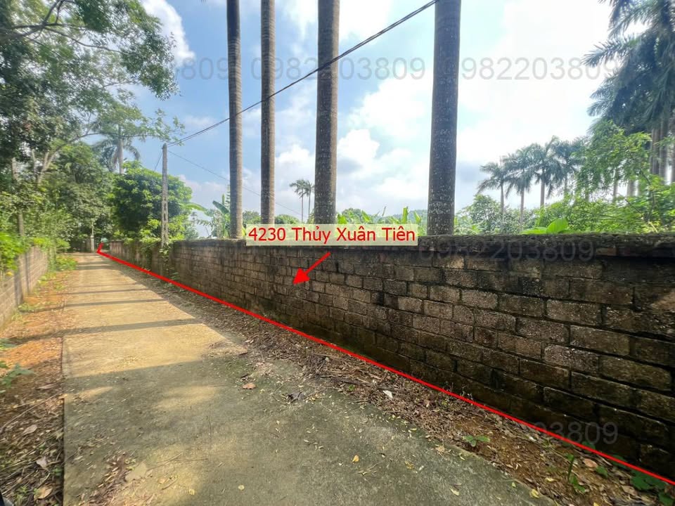 Bán đất Thủy Xuân Tiên 4230m² giá chỉ 12.69 tỷ - Đầu tư sinh lời tốt!