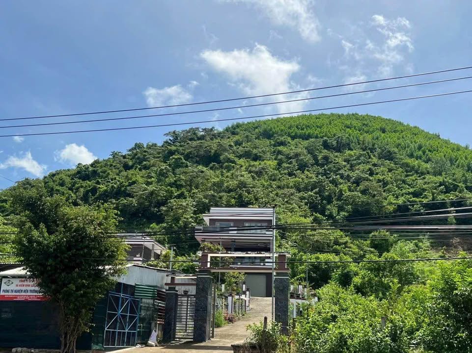 Đất nông nghiệp 3ha tại xã Khánh Phú, Khánh Vĩnh - Giá thỏa thuận cực hấp dẫn!