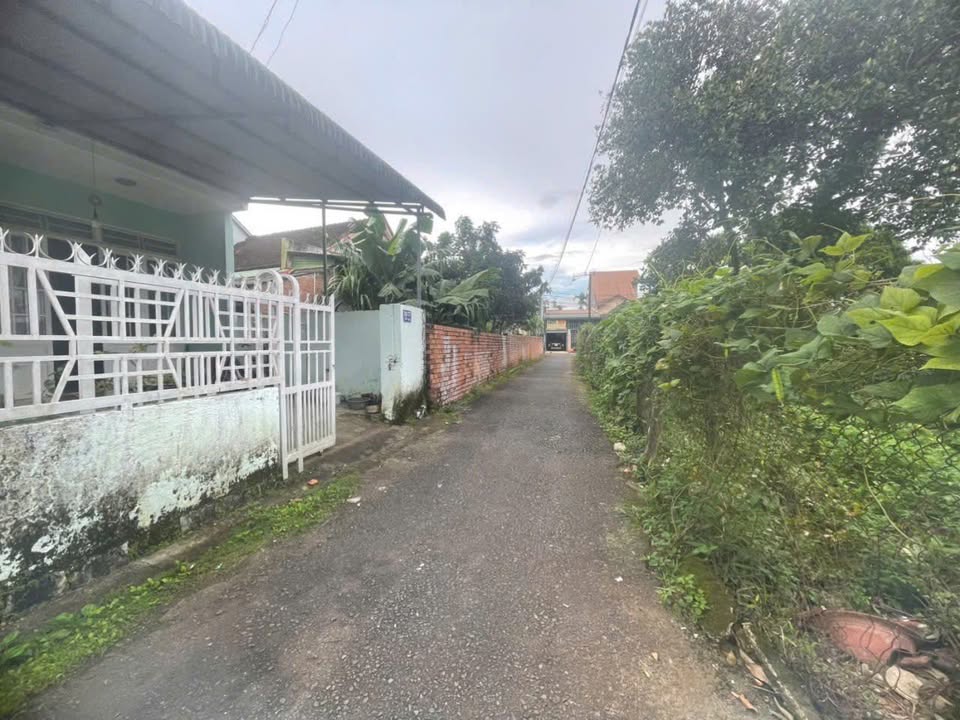 Đất nền Bảo Lộc 90m² giá chỉ 1.3 tỷ - Sổ đỏ chính chủ, đầu tư an toàn!