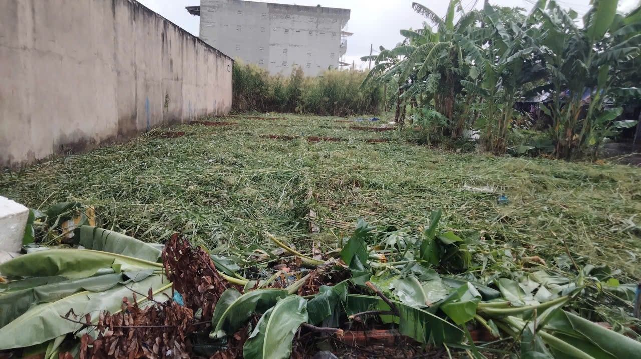 Lô đất 80m² xã Phước Lộc, Nhà Bè - Giá chỉ 650 triệu, sổ đỏ chính chủ!