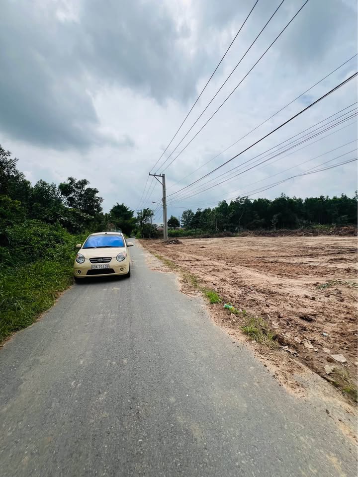 Đất nền Lộc An, Long Thành 100m² giá chỉ 1 tỷ - Đầu tư sinh lời ngay!