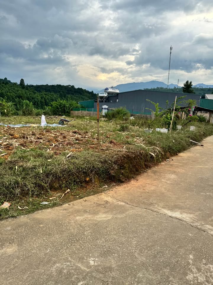 Đất thổ cư 116m² tại Duyên Hải, Lào Cai - Giá chỉ 600 triệu!