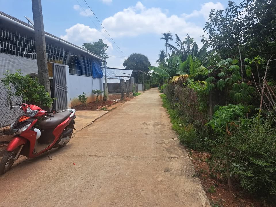 Đất Hòa Thắng, Tân Lập 180m² giá 1.4 tỷ - Đầu tư lý tưởng!