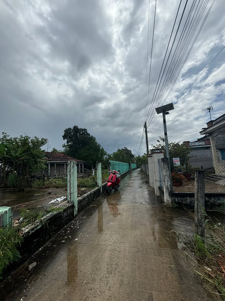 Đất nền mặt tiền giao thông nông thôn tại Mỹ Lộc, Cần Giuộc - 172m² giá 1.25 tỷ