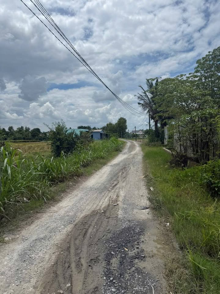 Đất thổ cư ấp Đồng Tâm, xã Long Trạch, 194m² giá 1.42 tỷ - Tiềm năng xây dựng nhà vườn nghỉ dưỡng!