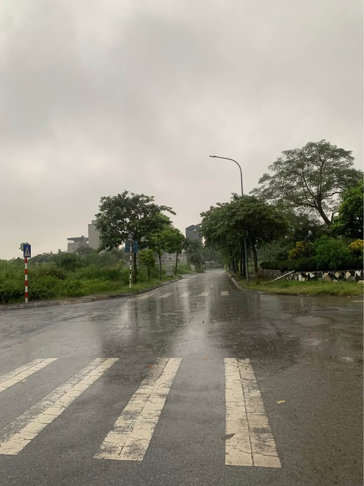 Đất nền khu tái định cư Dương Đức Hiền 80m² giá thỏa thuận - Kinh doanh sầm uất!