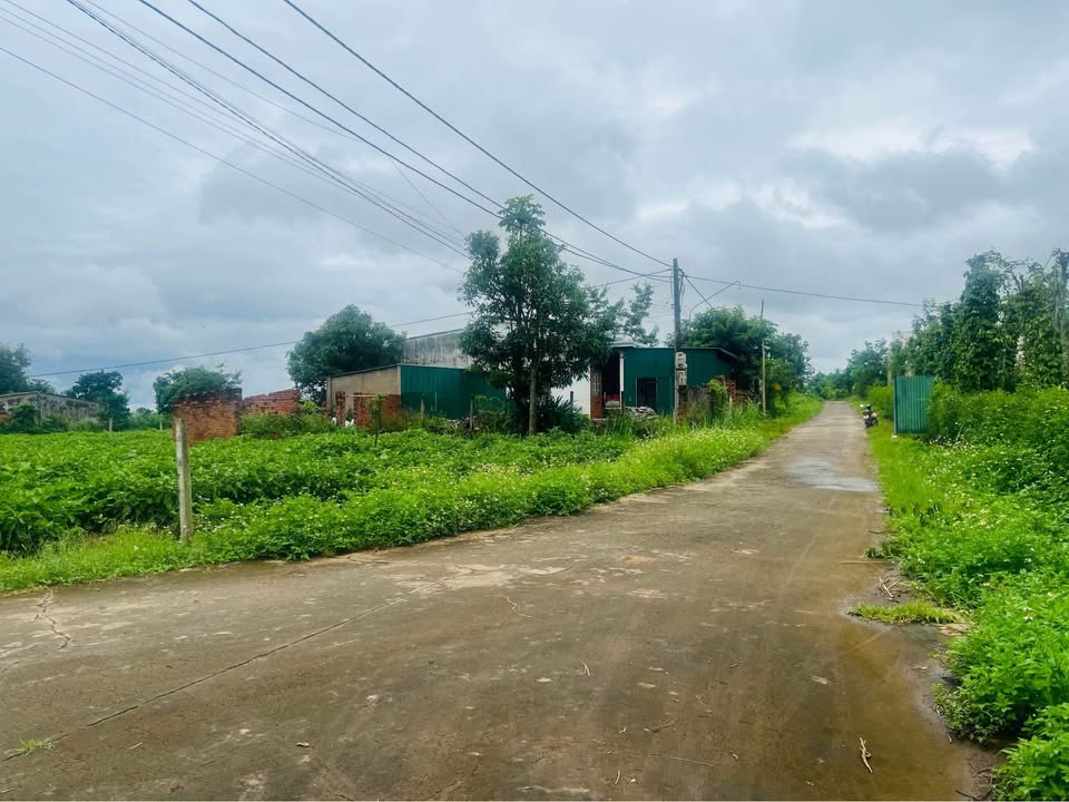 Đất nền phường Ea Kao Buôn Ma Thuột 250m² giá 850 triệu - Cơ hội đầu tư tuyệt vời!