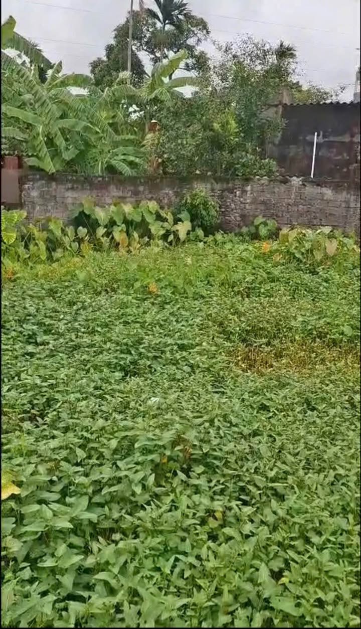 Đất nền 85m² TDP Xích Thổ, An Dương chỉ 1.05 tỷ - Đầu tư lý tưởng!