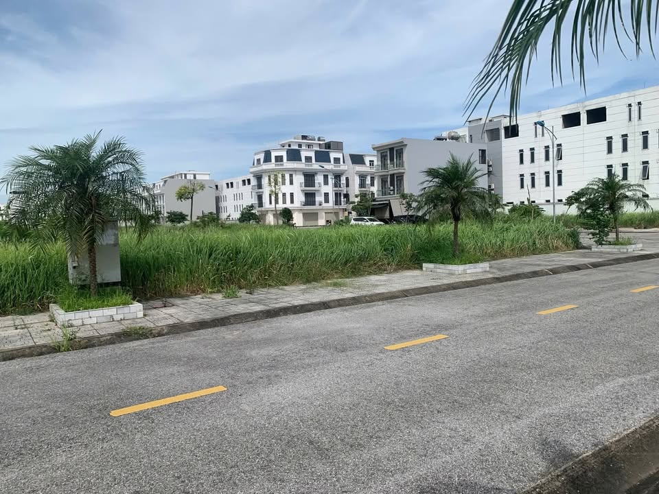 Đất nền KĐT Tràng Duệ, Lê Lợi, An Dương 180m² - Sổ đỏ chính chủ, giá chỉ 4.5 tỷ!