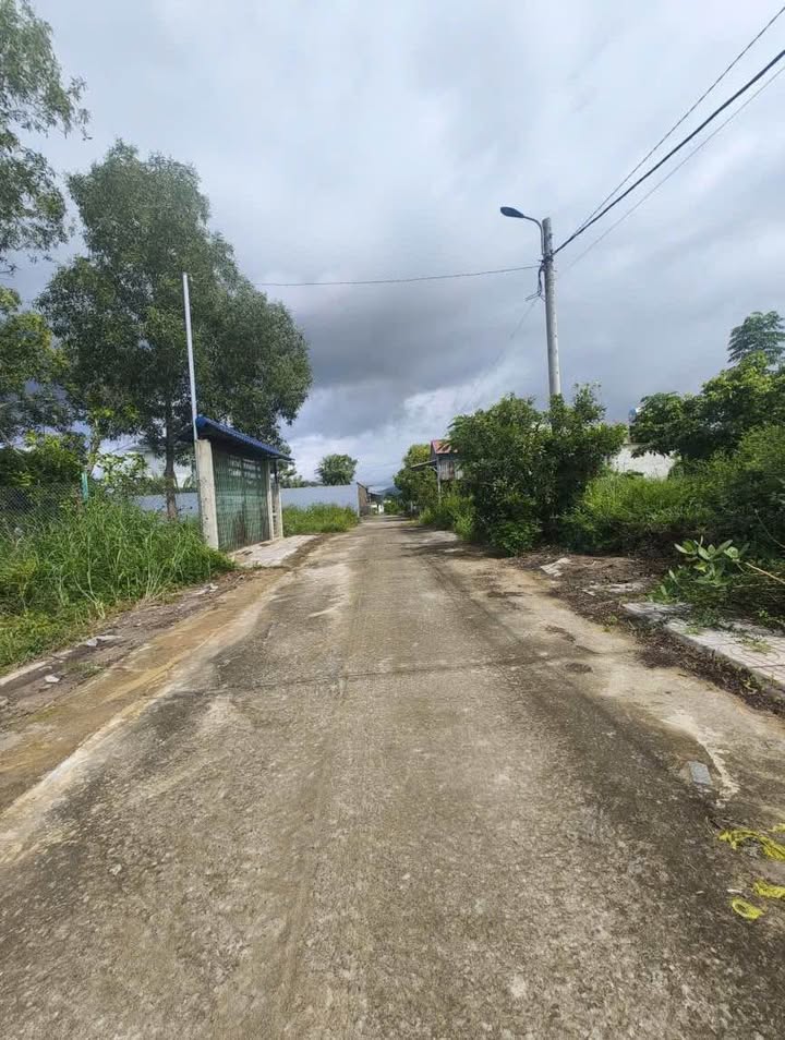 Đất Bà Rịa Vũng Tàu - Long Hải 97m² giá 1.46 tỷ - Đường bê tông 2 xe hơi tránh nhau!