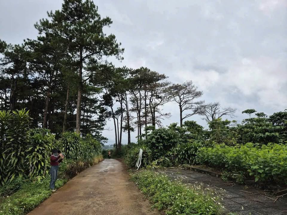 Đất thổ cư Bảo Lộc 1923m² giá 1.85 tỷ - View đẹp, đường ô tô thông