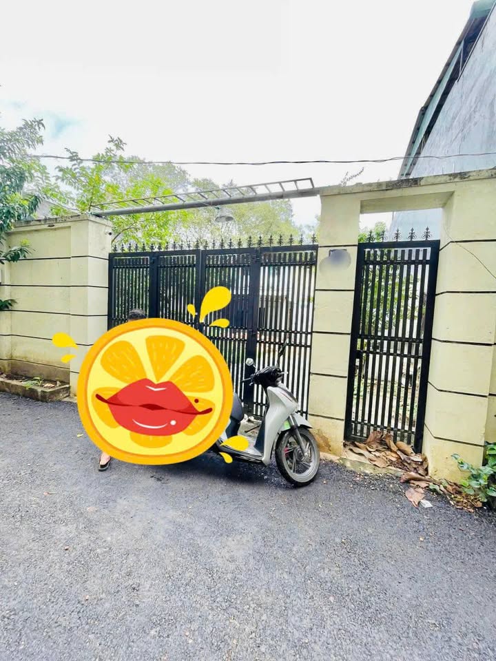 Đất nền hẻm xe hơi An Lạc, Bình Tân 200m² giá 10.99 tỷ - Đầu tư sinh lời ngay!