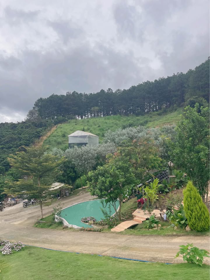 Đất nông nghiệp 6 sào tại Phú Hội, Đức Trọng - Giá chỉ 1 tỷ, sổ đỏ chính chủ!