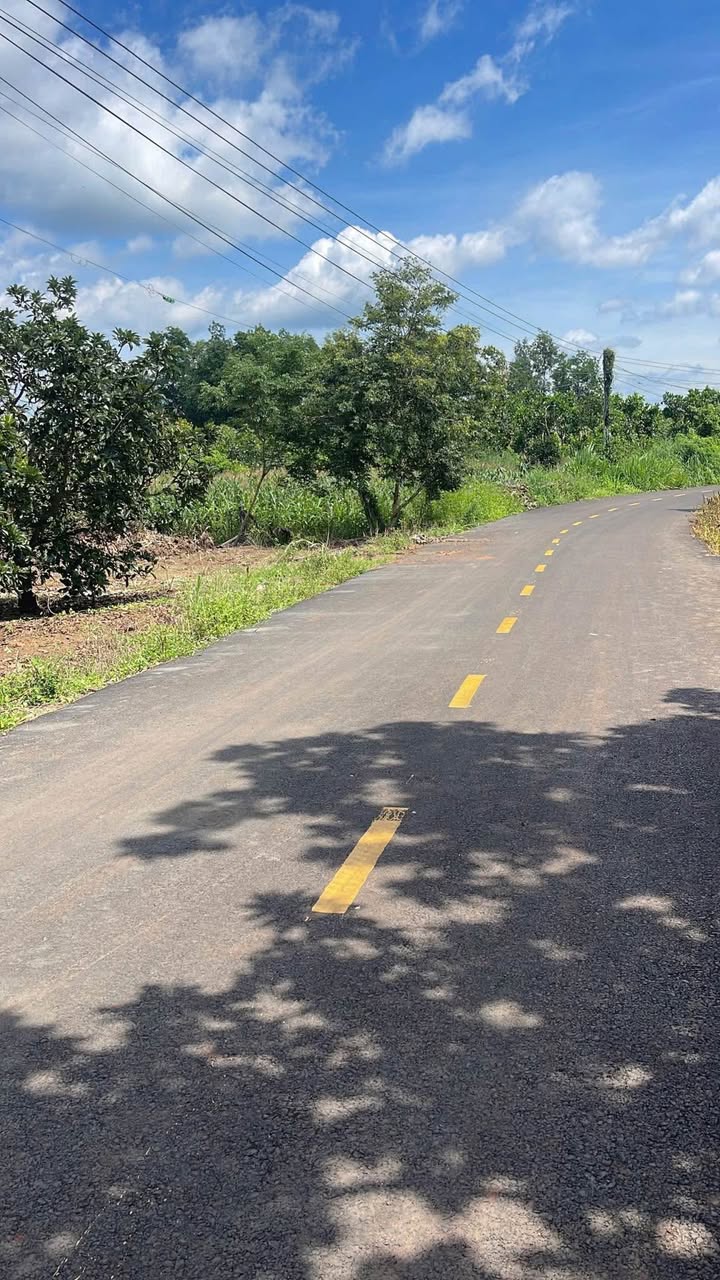 Lô đất 1000m² mặt tiền đường nhựa Hòa Hiệp - Giá chỉ 850 triệu!