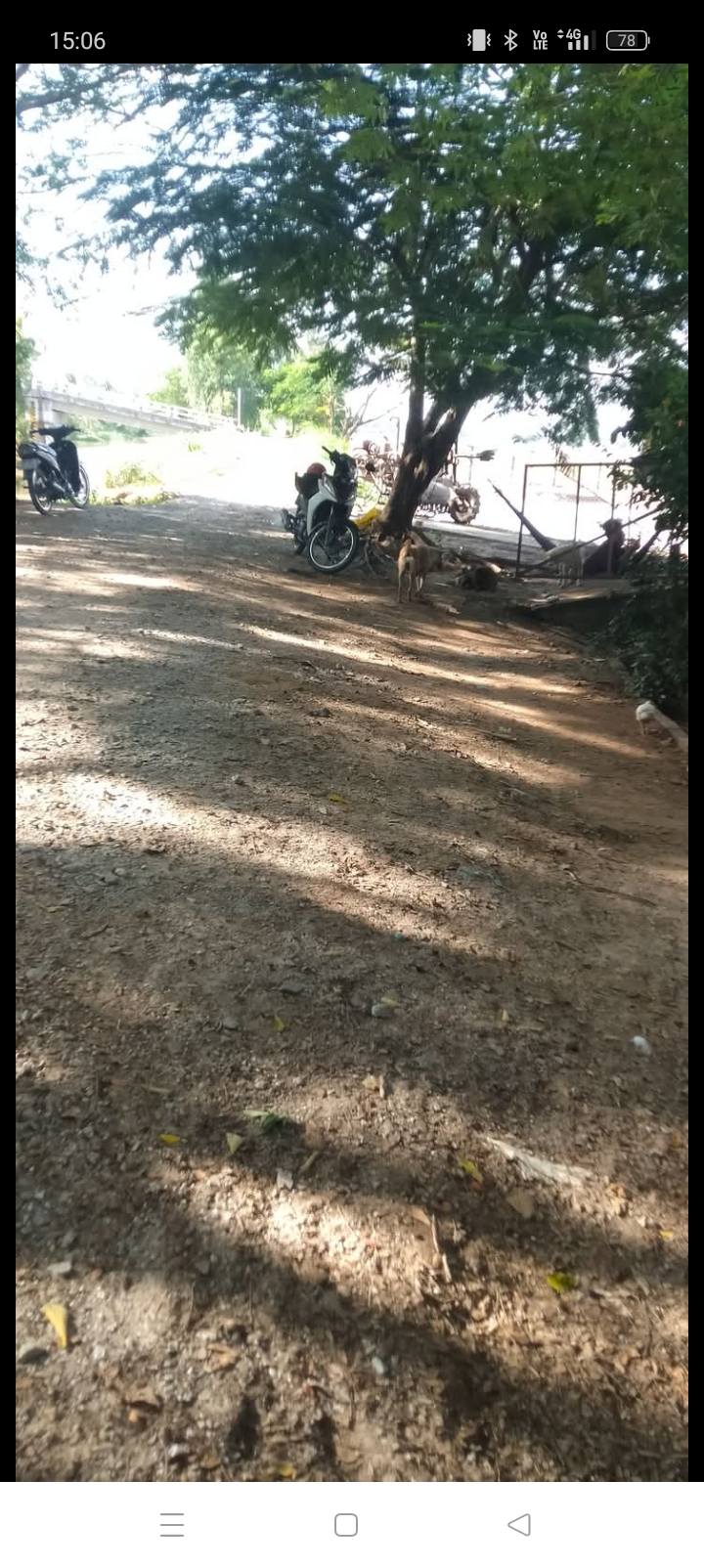 Đất nông nghiệp 382m² phường An Bình, Hồng Ngự - Giá chỉ 500 triệu