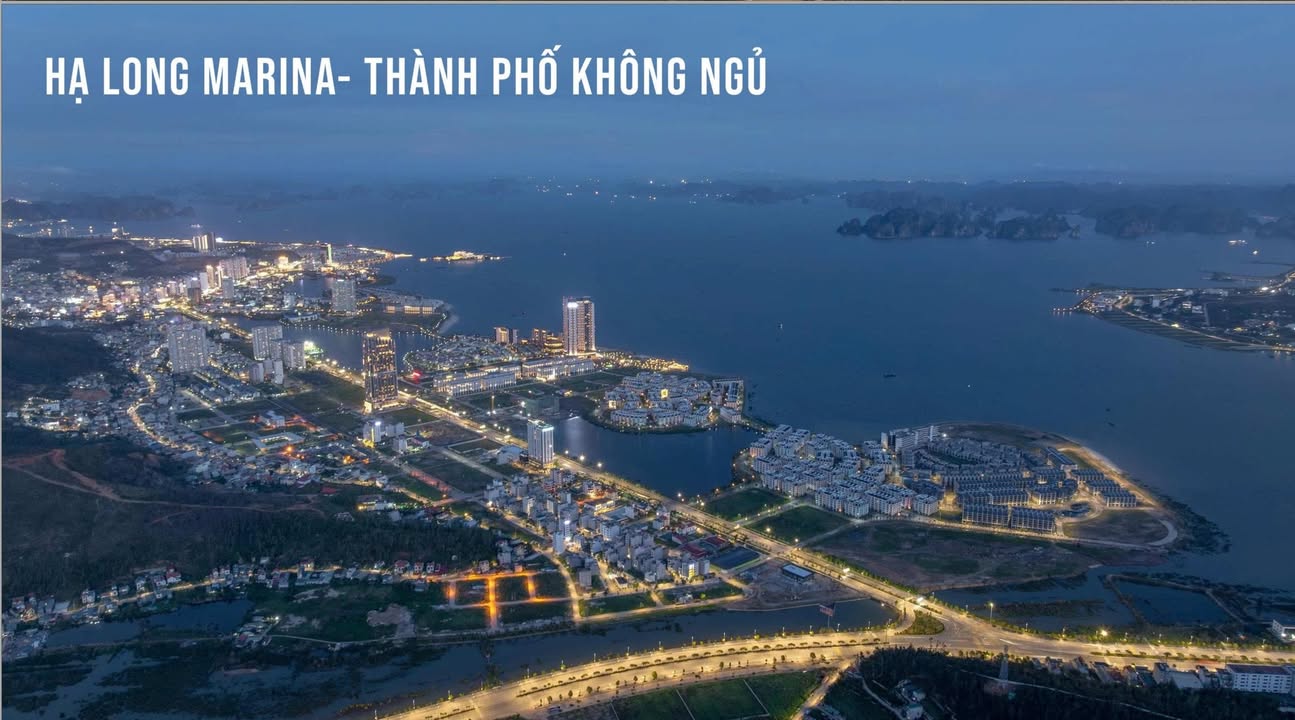 Căn hộ Aria Bay Hạ Long 30m² giá chỉ 2 tỷ - Sở hữu lâu dài, view đẹp!